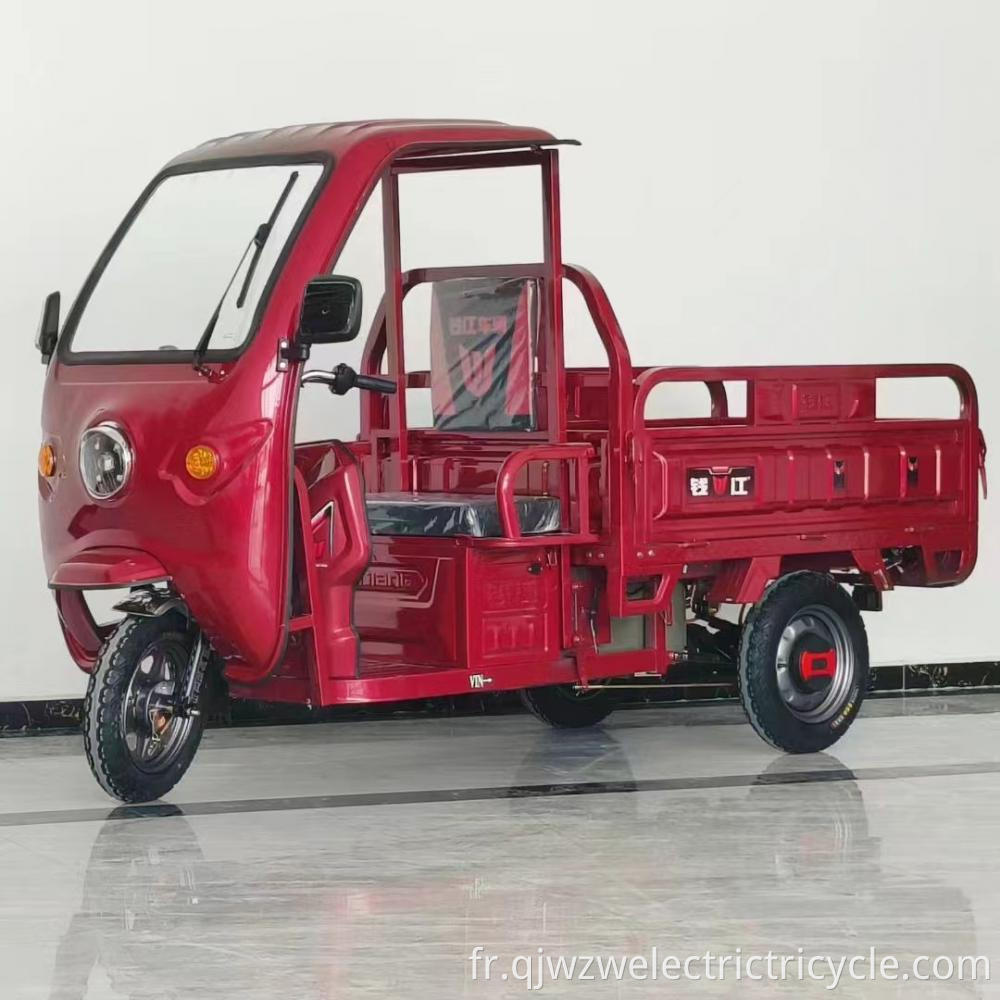 Cargo Easy Shed Electric Tricycle